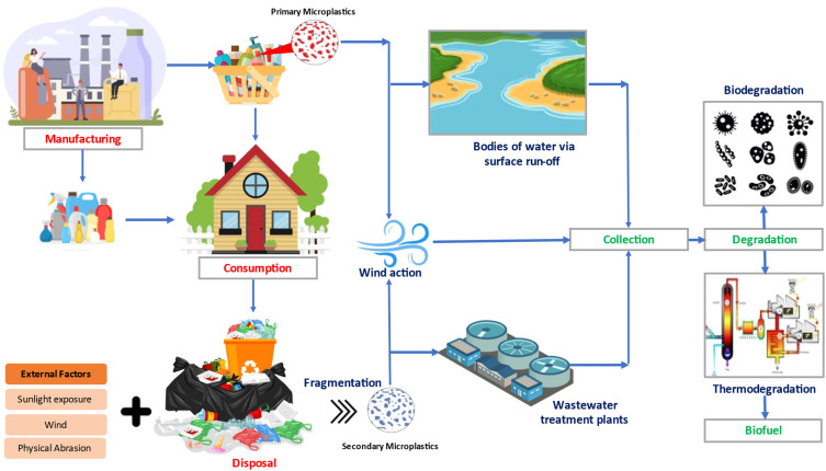 Understanding Microplastics: Their Sources and Impact on Health and Environment